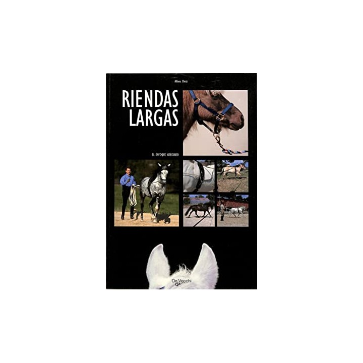 RIENDAS LARGAS. El enfoque adecuado